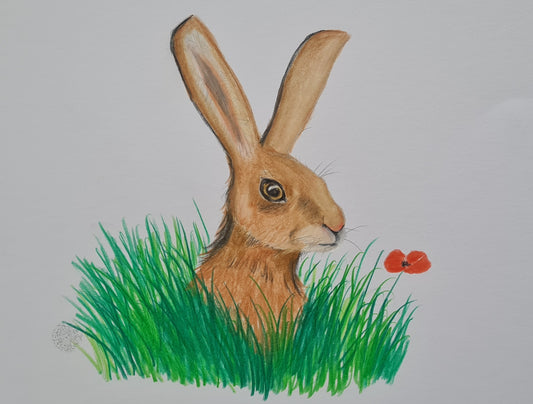 U720 Original Polychromo  - 'Mad March hare'