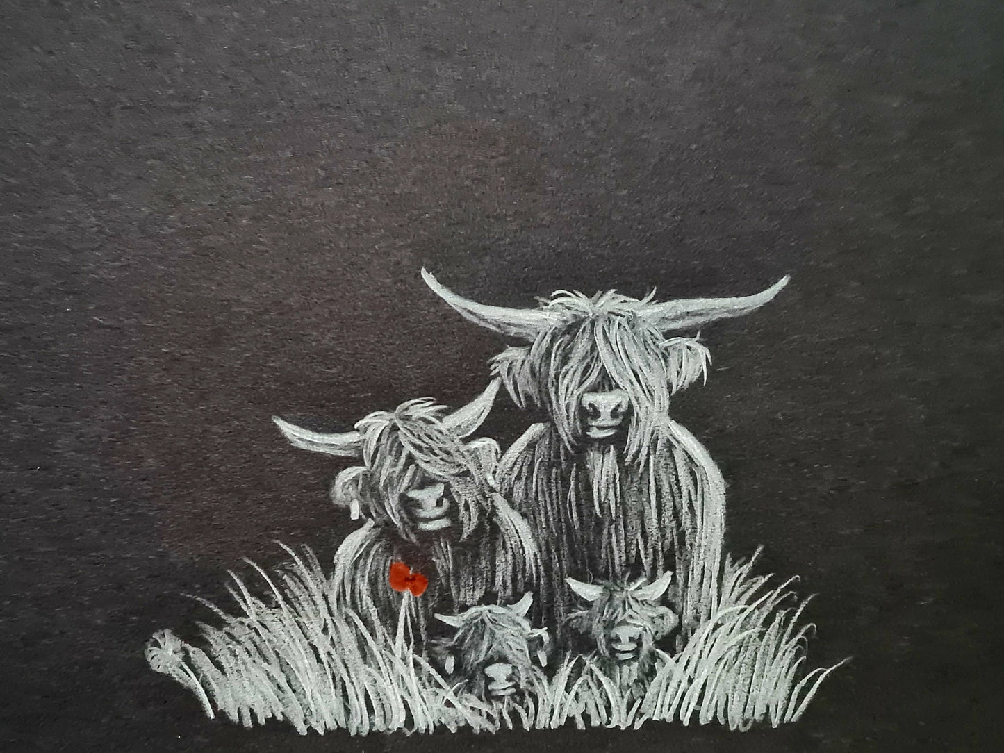 highland coo artwork