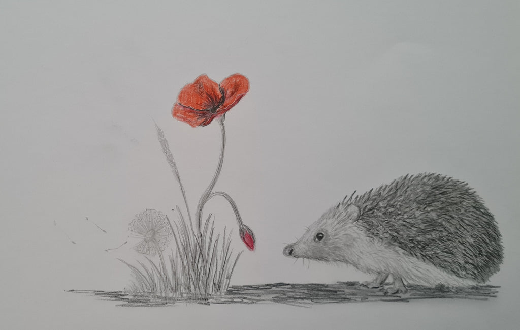 577 Original Polychromo  - 'Poppy Hog'