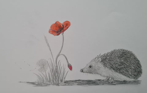 577 Original Polychromo  - 'Poppy Hog'