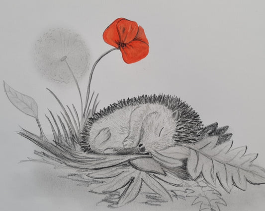 U729 Original Polychromo  - 'snoozing hoglet'