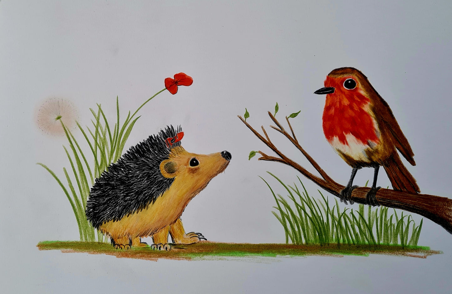 'Hettie and the Robin' - pre-oder of signed first edition book and original artwork #3