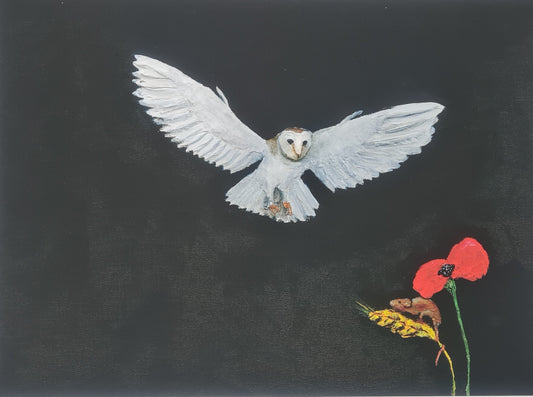 572 Limited Edition Giclée Print - 'Night hunt'