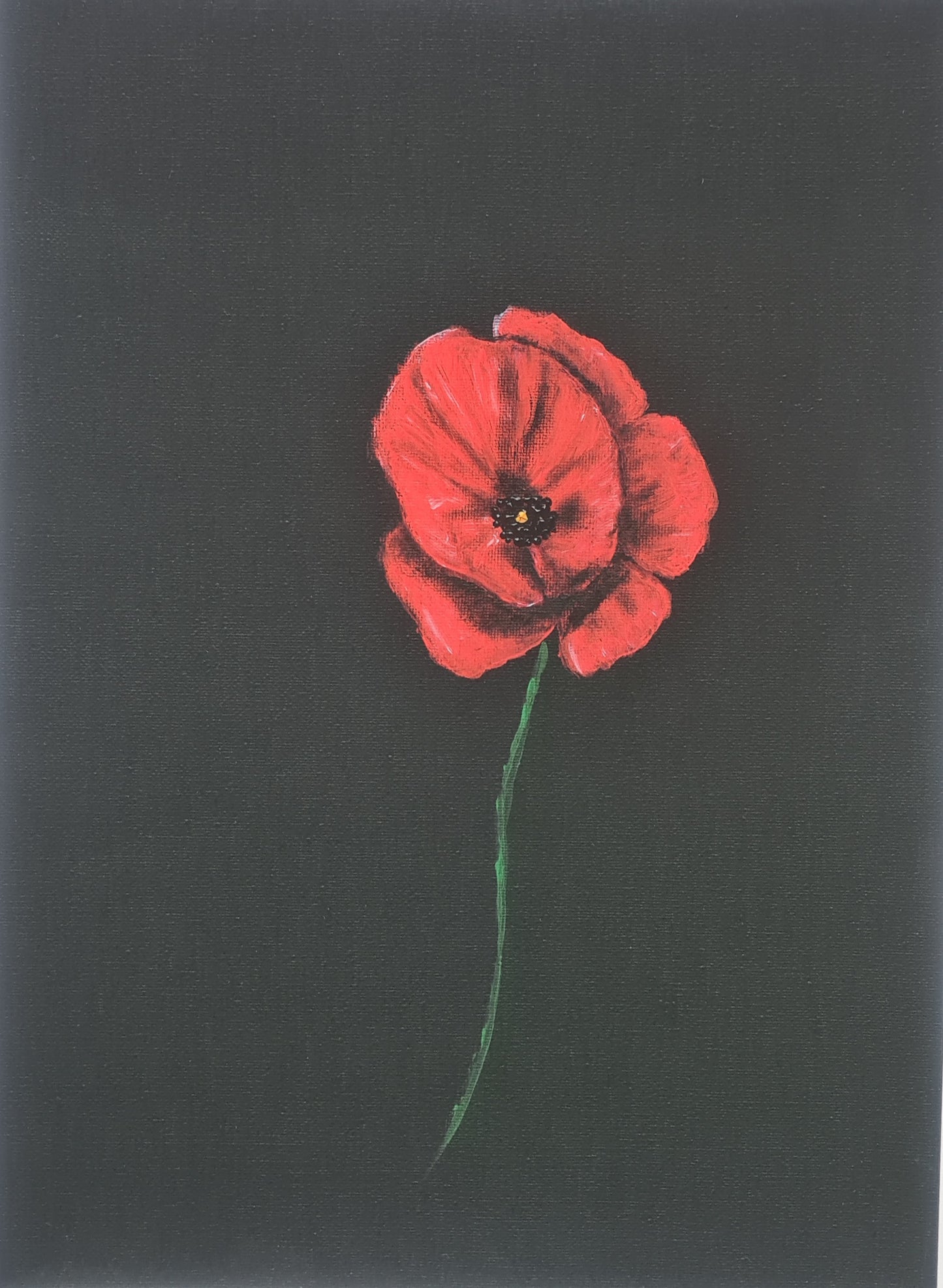 576 Limited Edition Giclée Print - 'the Poppy'