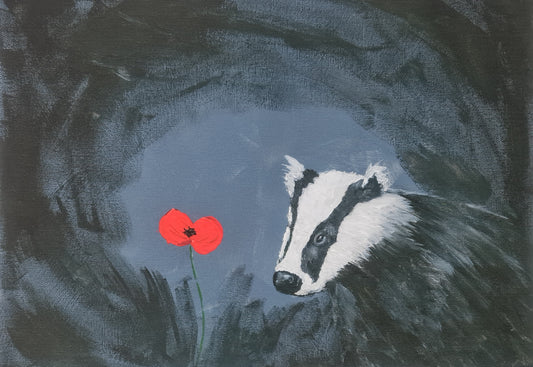 569 Limited Edition Giclée Print - 'Poppy Sett'