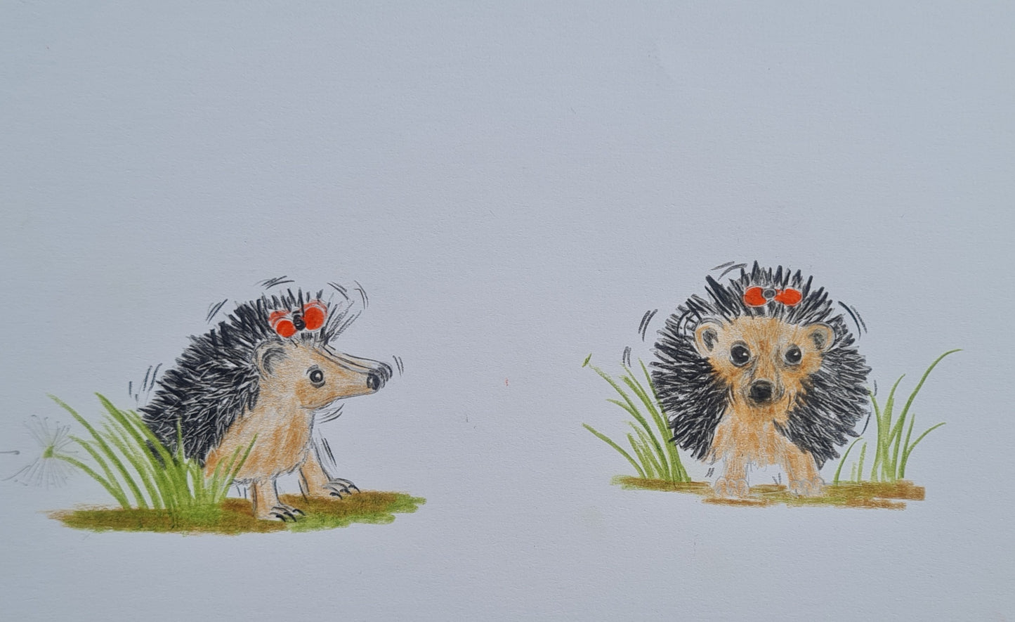 Original Polychromo  - 'Hettie shook and shook and shook - work up'