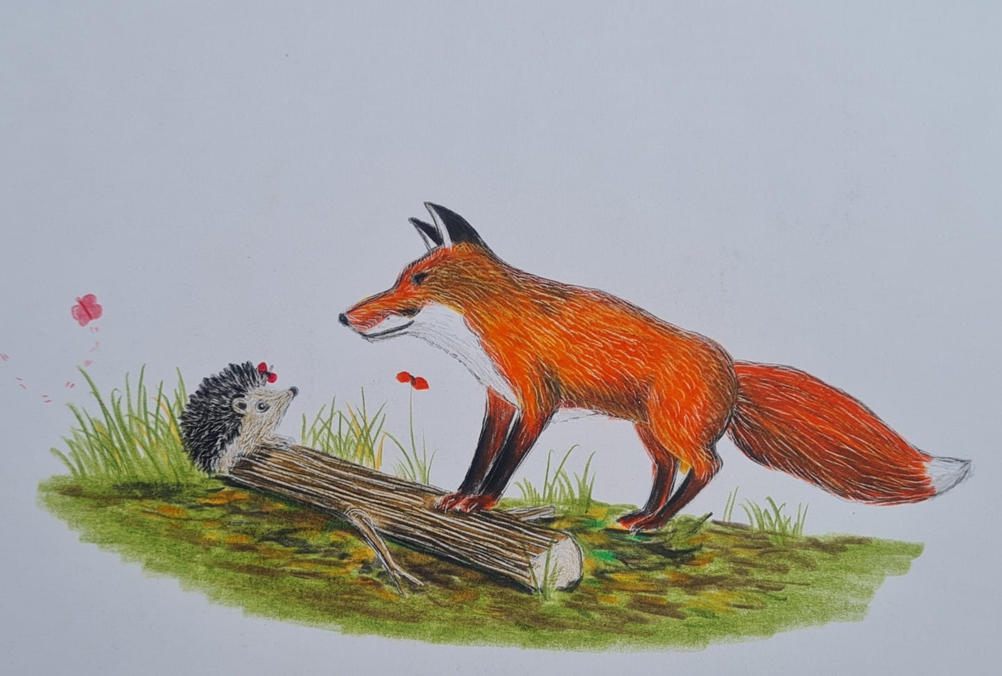 Original Polychromo  - 'Hettie and Freddie Fox - Work up #1