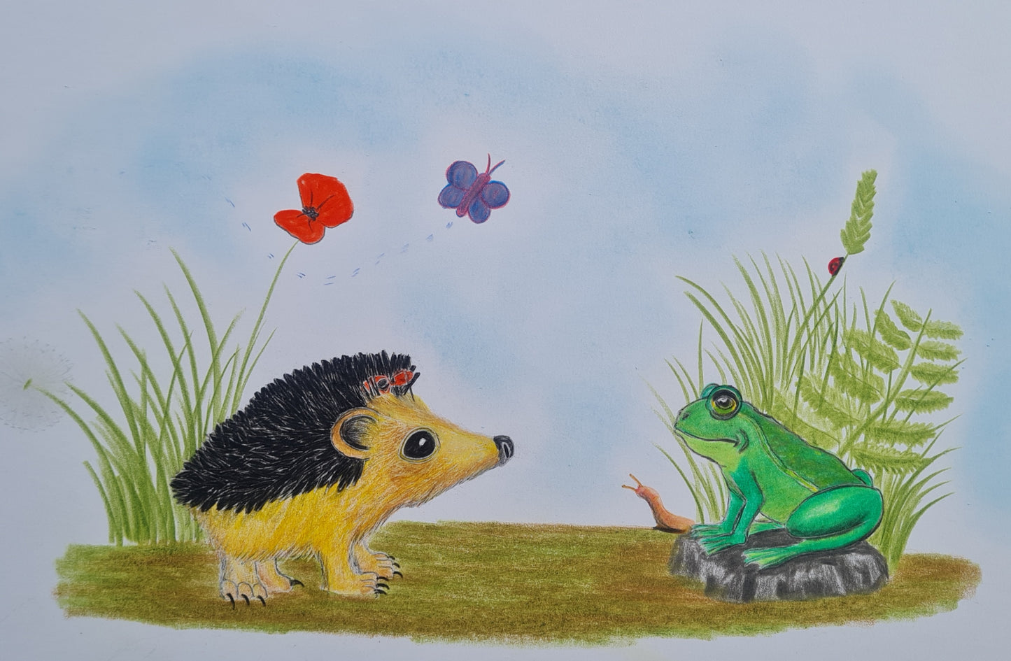 Original Polychromo  - 'Hetty and the frog'