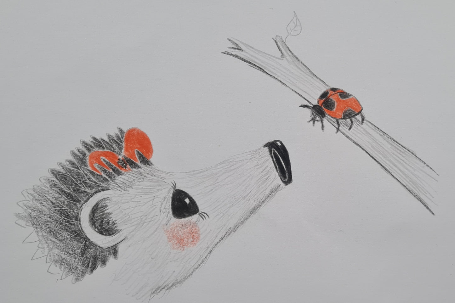 Original Polychromo  - 'Hettie and the Ladybird - layout drawing'