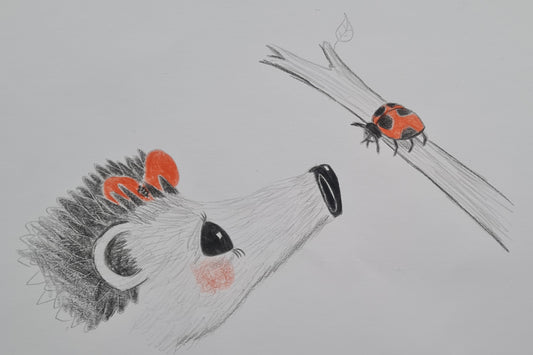 Original Polychromo  - 'Hettie and the Ladybird - layout drawing'