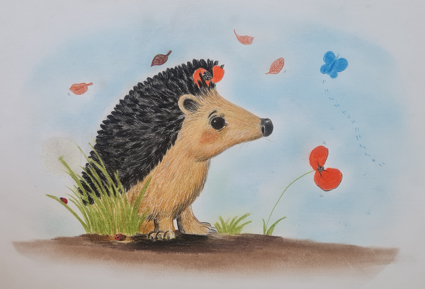 Pre-oder exclusive deluxe launch edition hardback book 'Hettie and the Poppy'