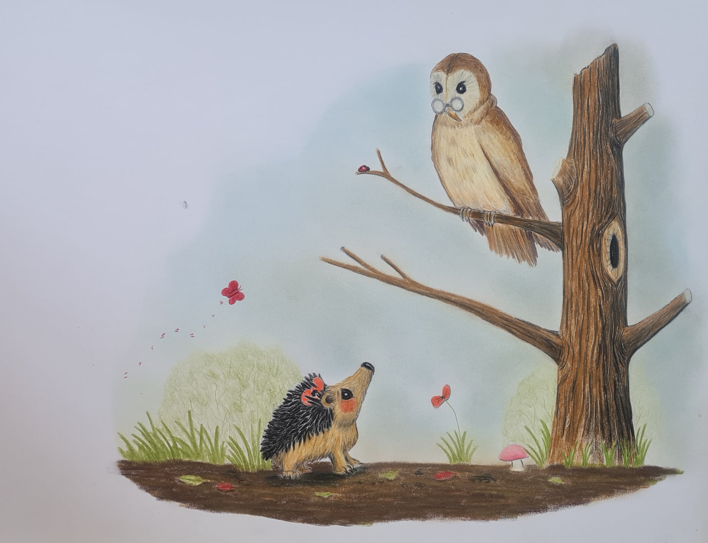 Pre-oder exclusive deluxe launch edition hardback book 'Hettie and the Poppy'