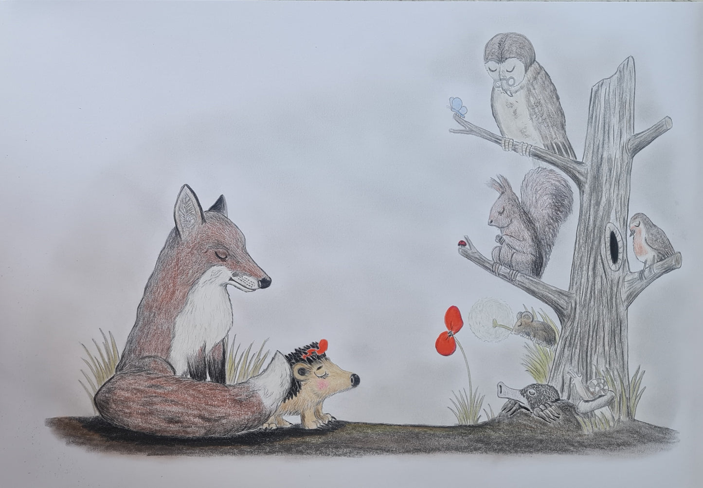 Pre-oder exclusive deluxe launch edition hardback book 'Hettie and the Poppy'