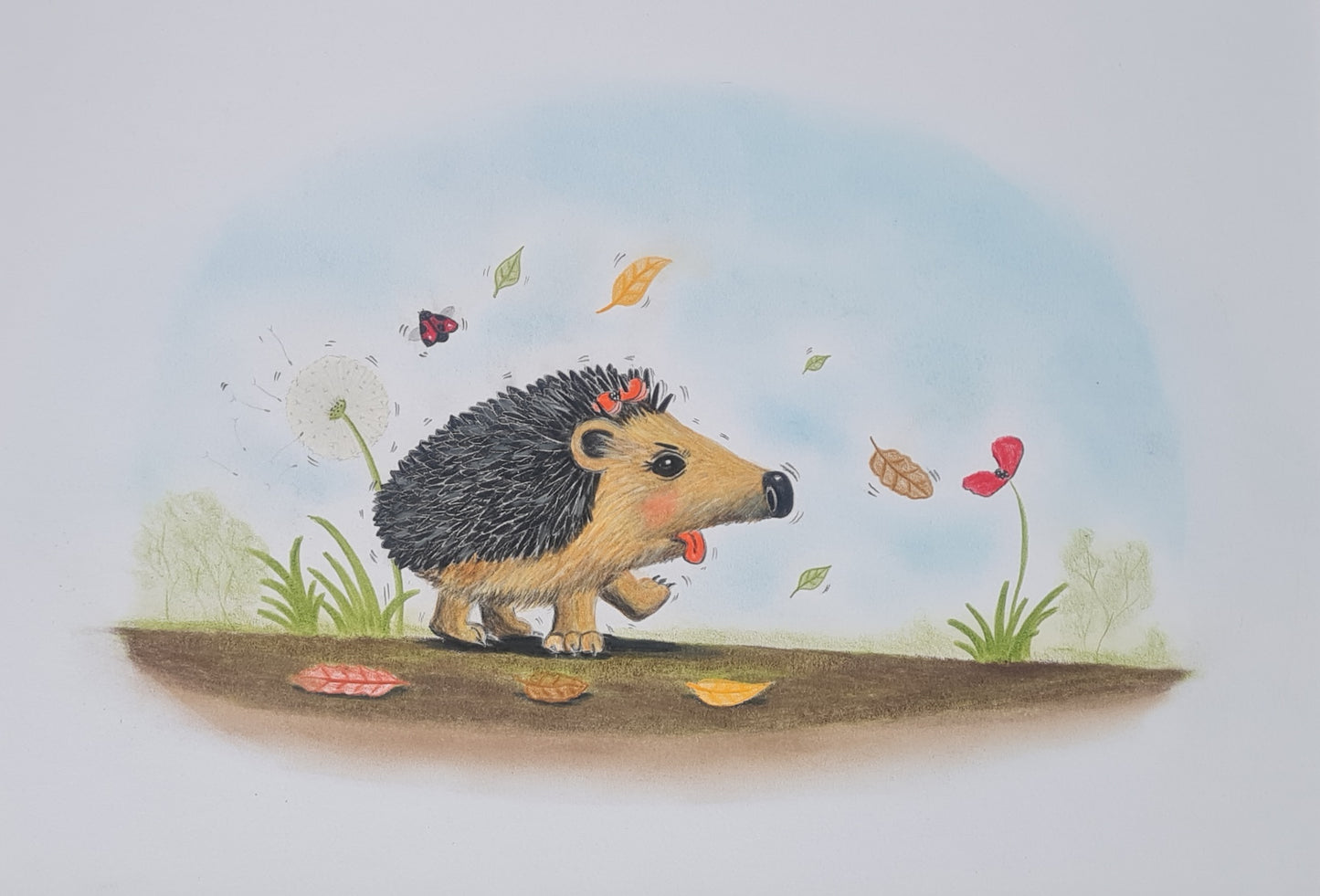 'Hettie Shook and Shook and Shook' - pre-oder of signed first edition book and original artwork #7