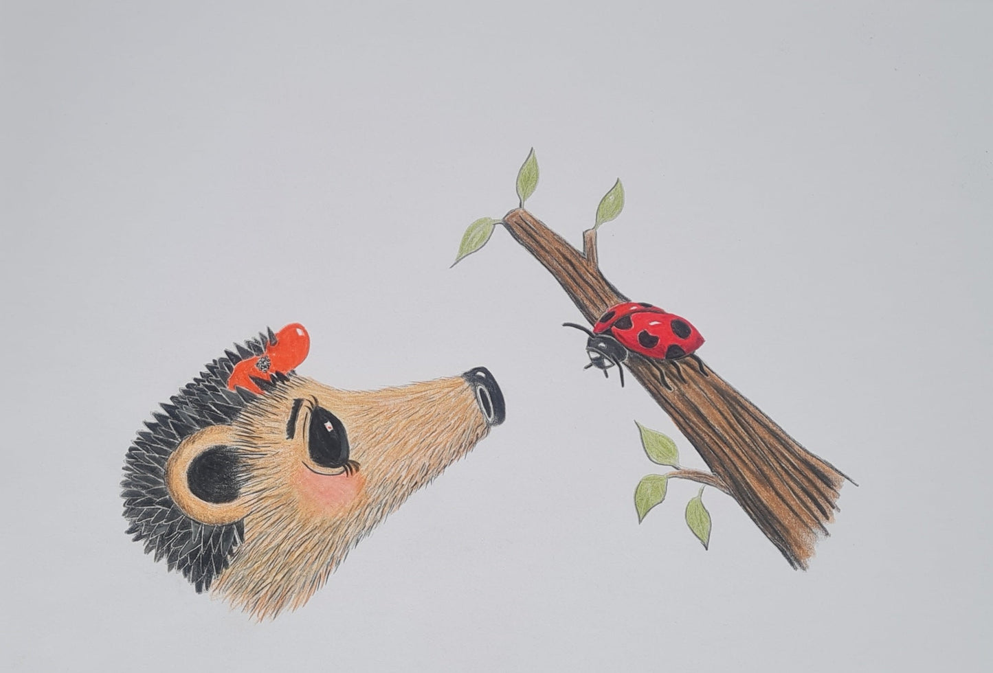 'Hettie and the ladybird' - pre-oder of signed first edition book and original artwork #12