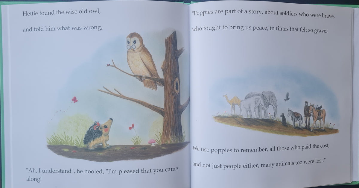 'Owl Explains' - pre-oder of signed first edition book and original artwork #13