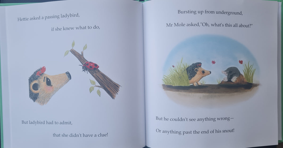'Hettie and the ladybird' - pre-oder of signed first edition book and original artwork #12