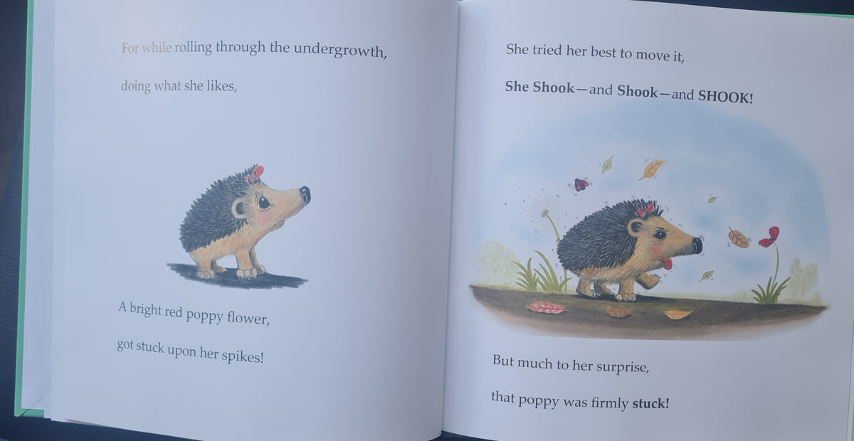 'Hettie Shook and Shook and Shook' - pre-oder of signed first edition book and original artwork #7