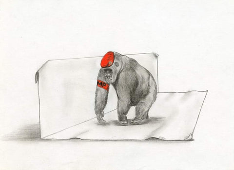 463 Original Polychromo - '3D monkey'