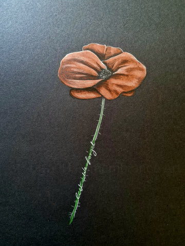 CS001 Original Polychromo - 'LWF Poppy 20'