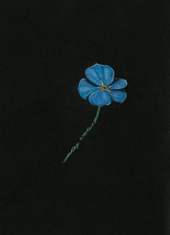 382 Open Edition Giclée Print - 'The Keyworker forget-me-not'