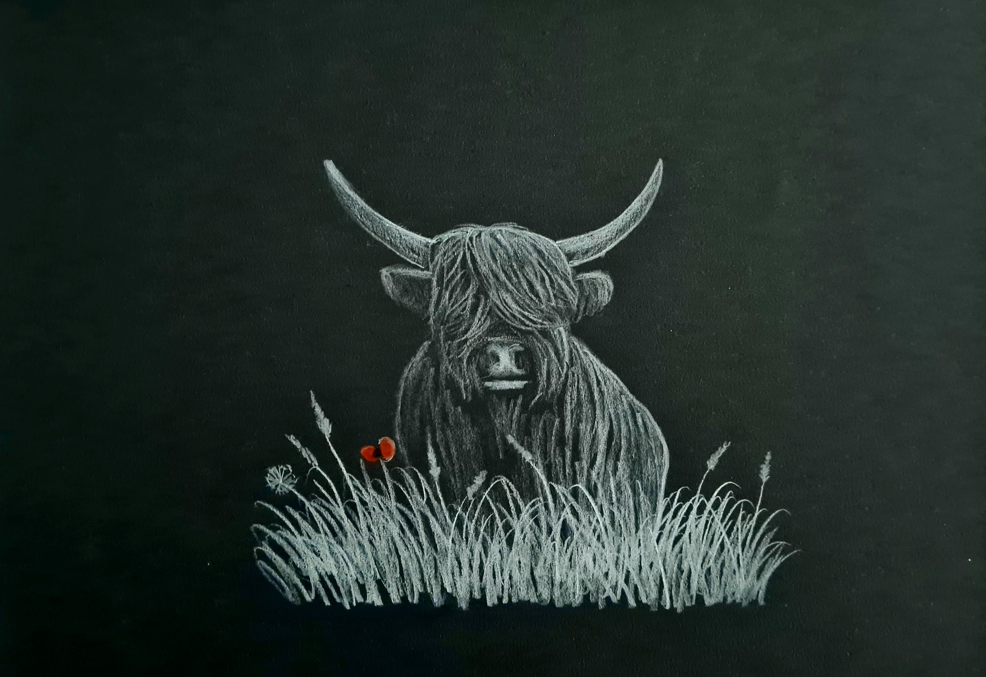 Highland coo art