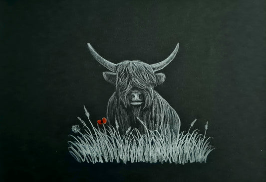 Highland coo art