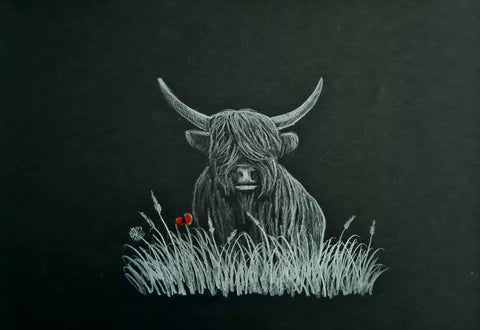 Original Polychromo - 'Adolescent Coo'