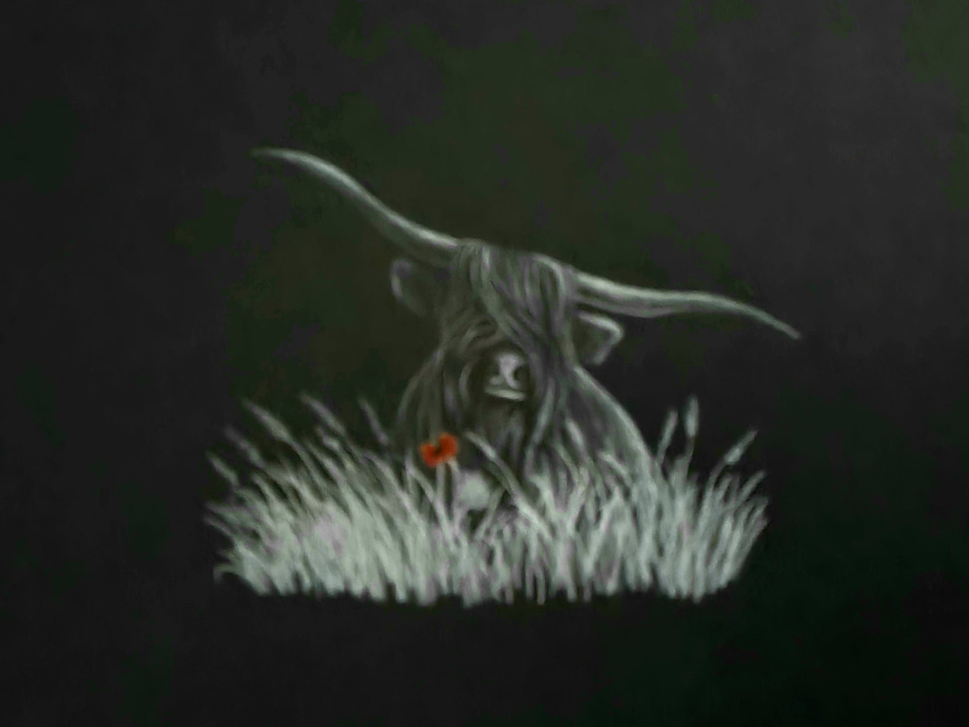 Highland coo art