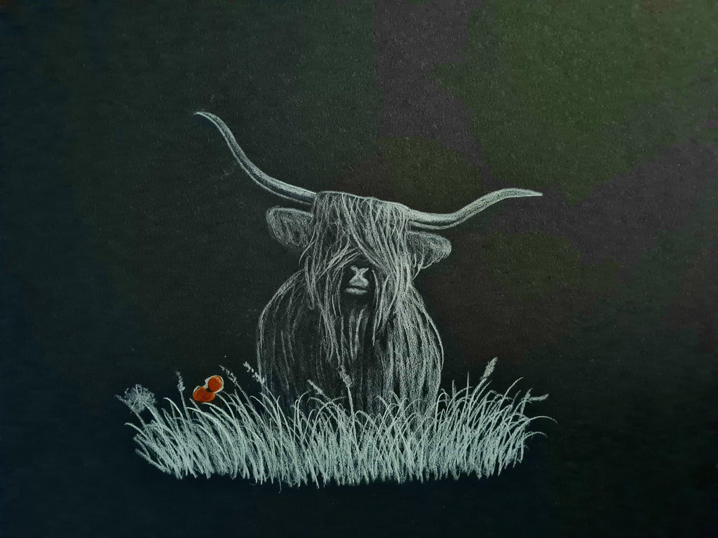 Highland coo art