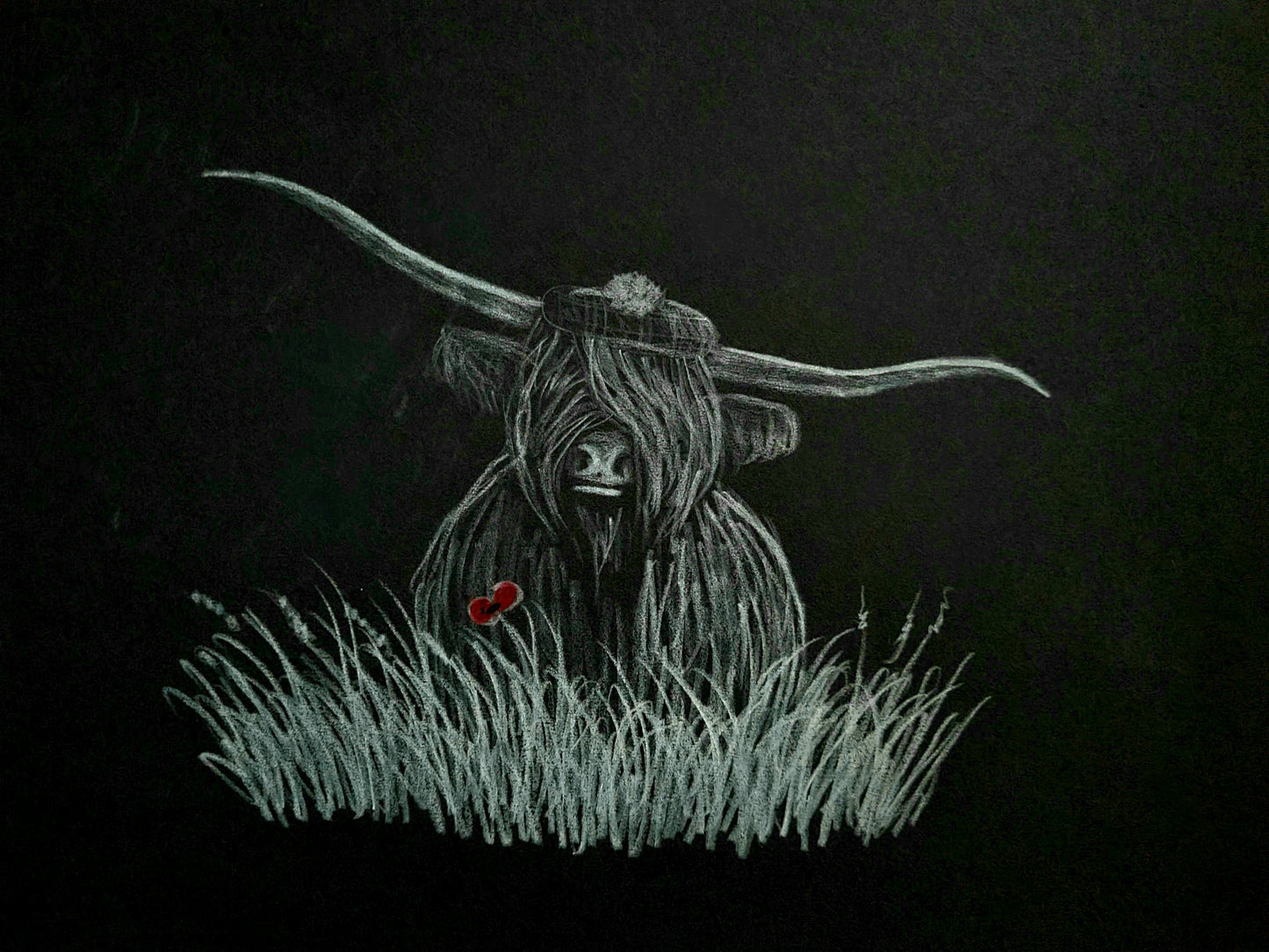 Highland coo art