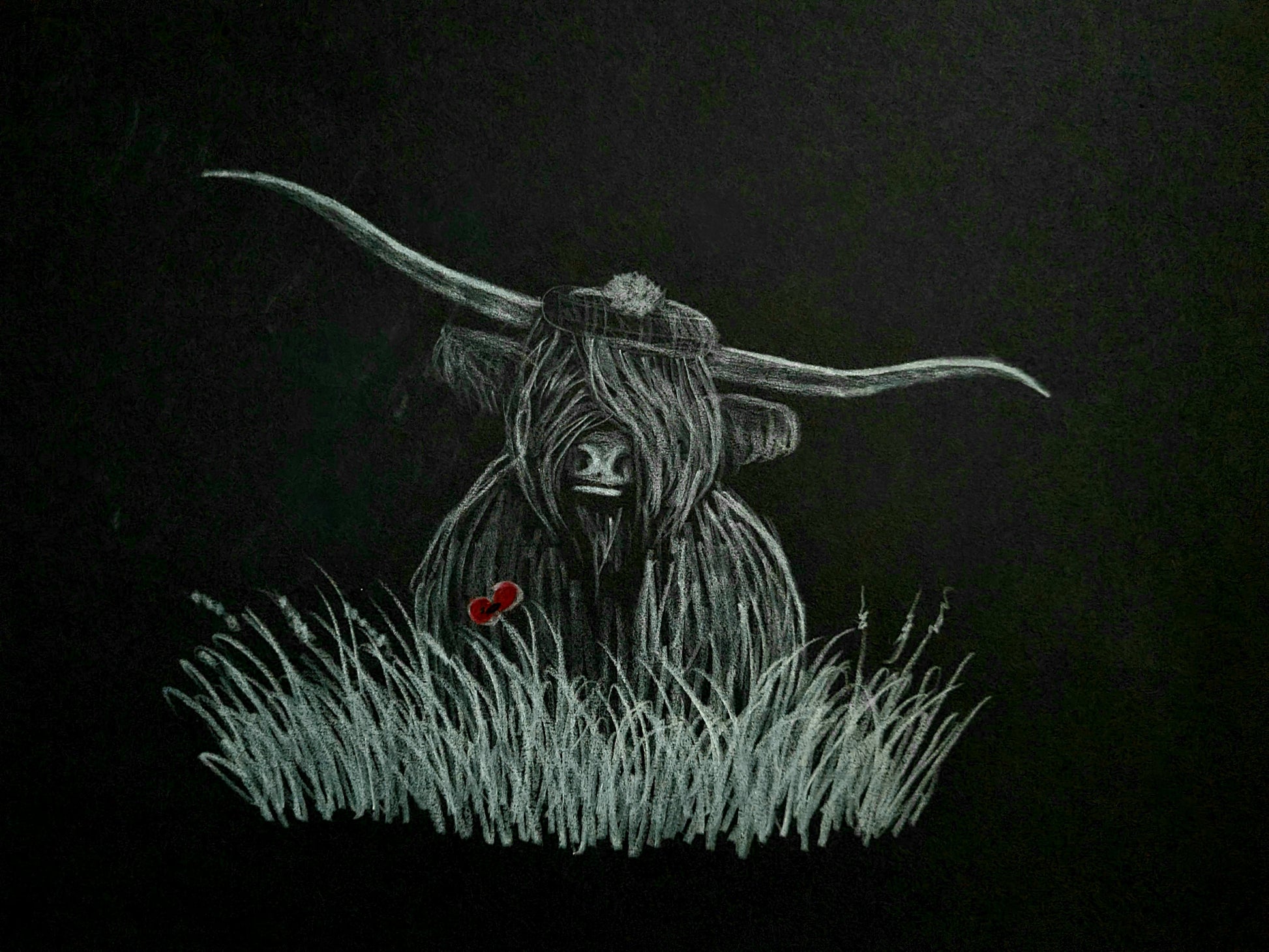Highland coo art