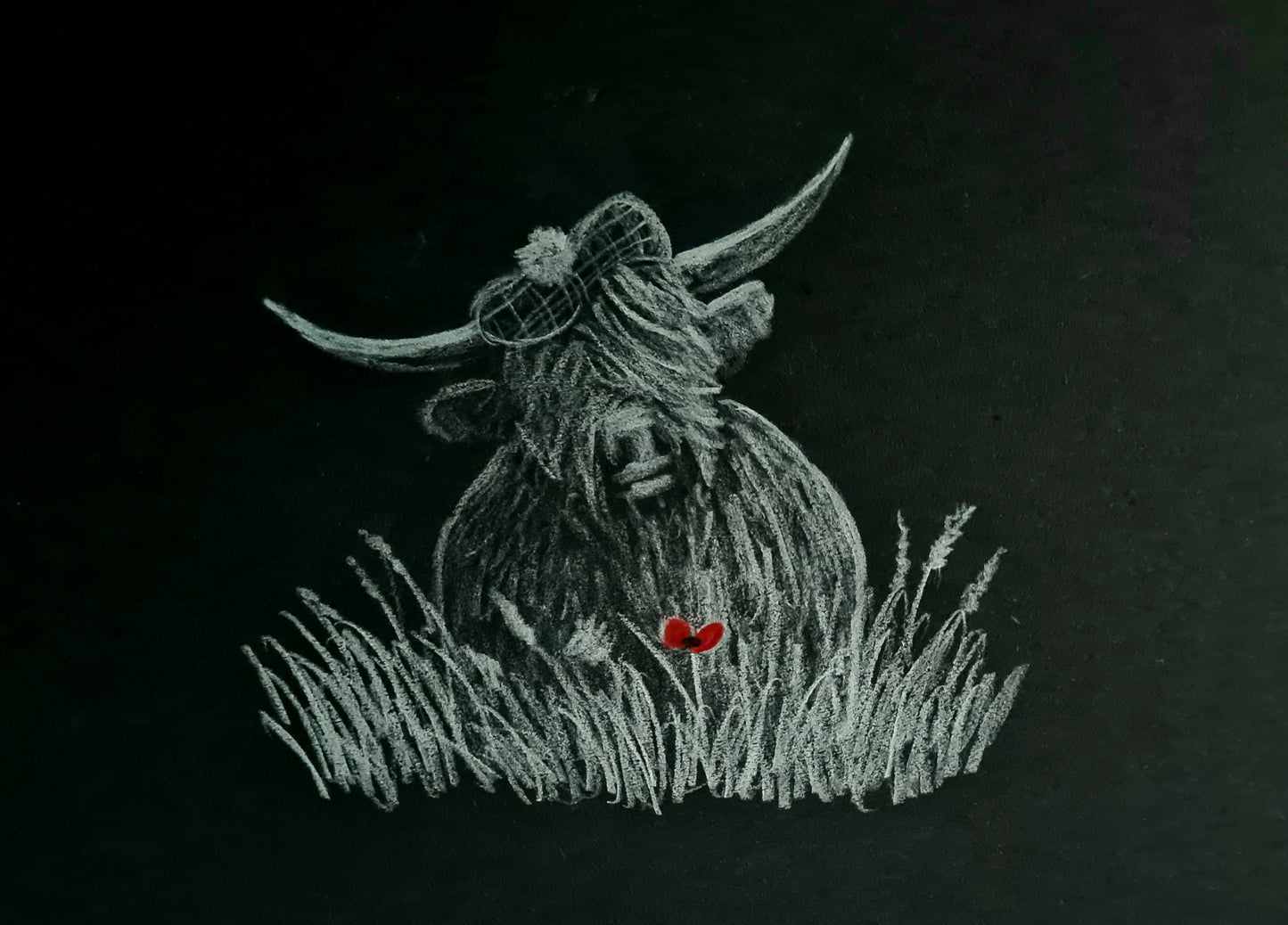 Highland coo art