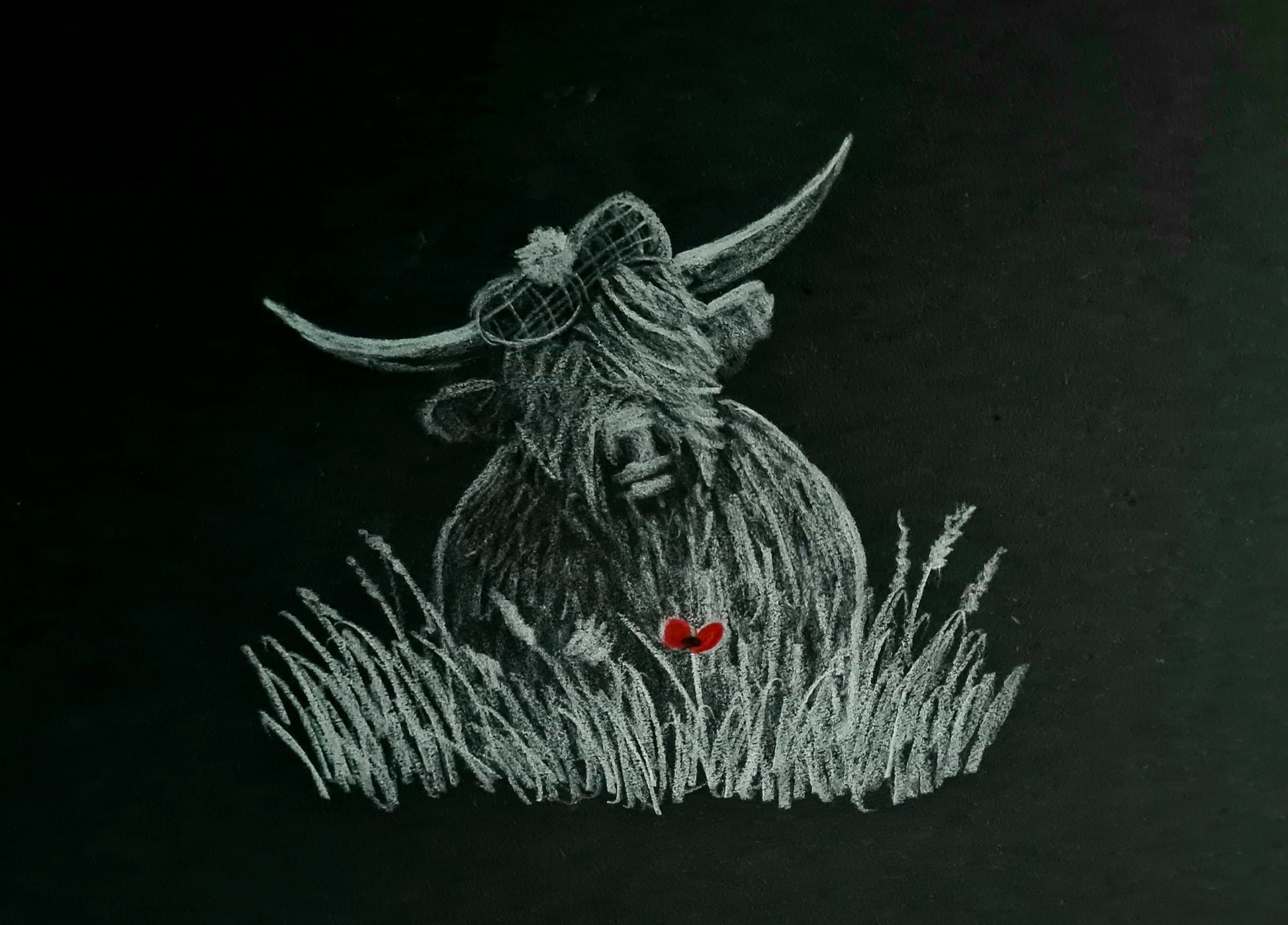 Highland coo art