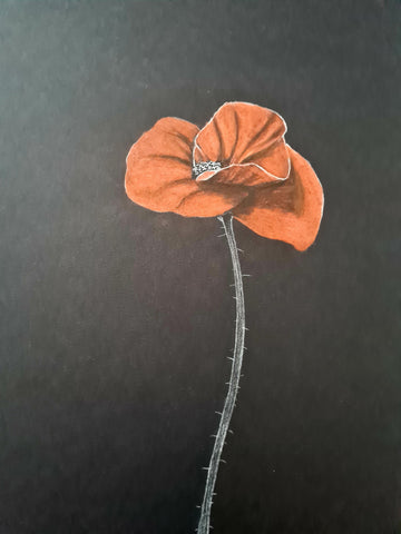 U473 Original Polychromo - 'Just a poppy #3'