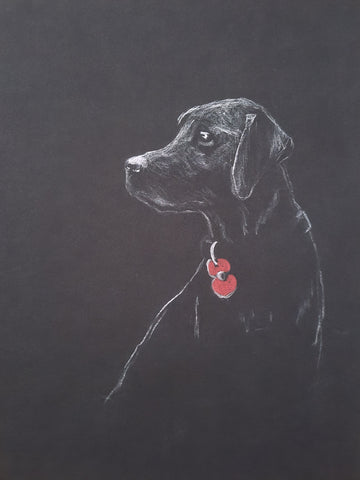 423 Limited Edition Giclée Print  - 'Poppy Dog #45'