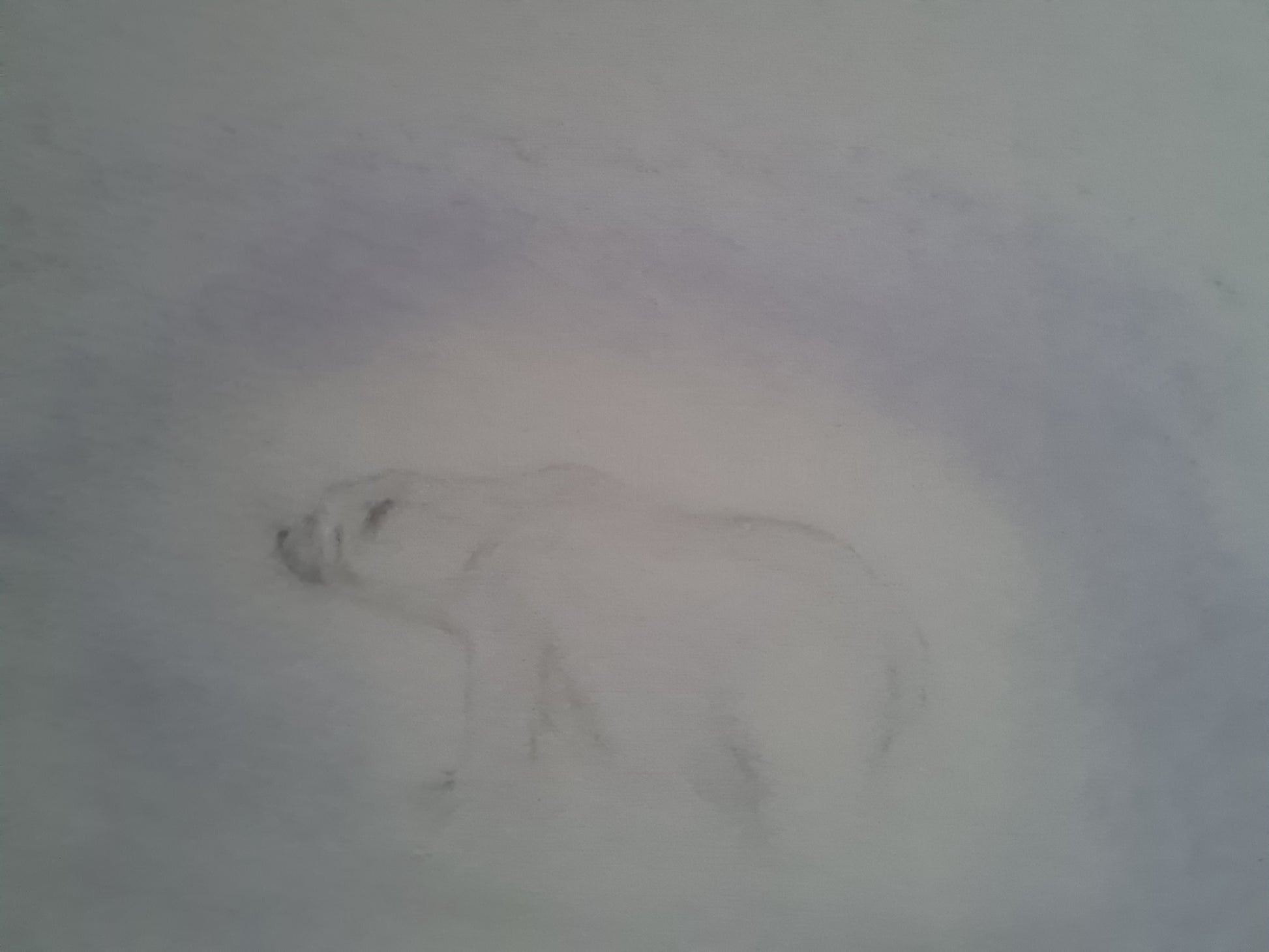 Wildlife conservation art