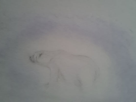 Wildlife conservation art