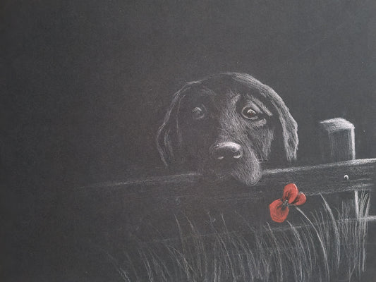 Remembrance art 
