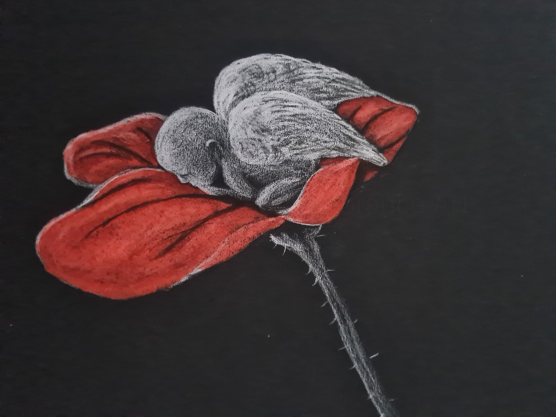 Remembrance art 