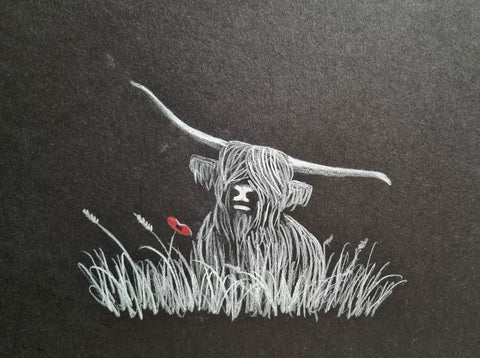 U606 Original Polychromo - 'Highland Coo #24