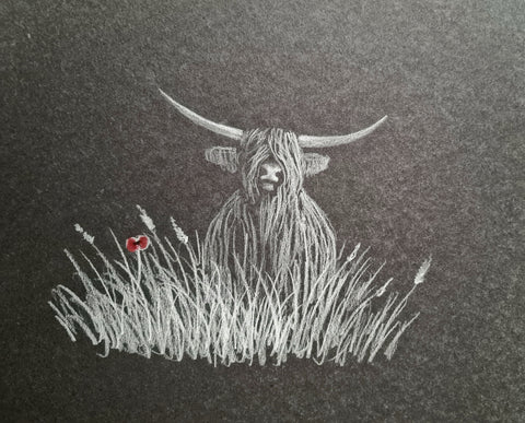 U608 Original Polychromo - 'Highland Coo #26