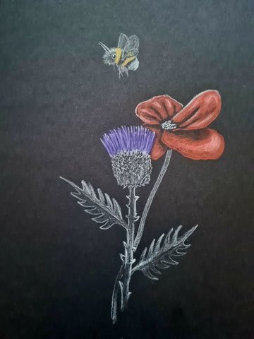 U602 Original Polychromo - 'Poppy McBee'