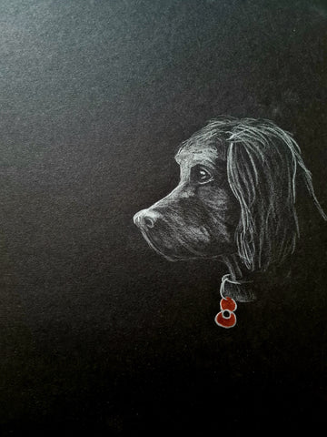 U603 Original Polychromo - 'Poppy Dog #46'
