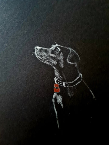 U605 Original Polychromo - 'Poppy Dog #47'