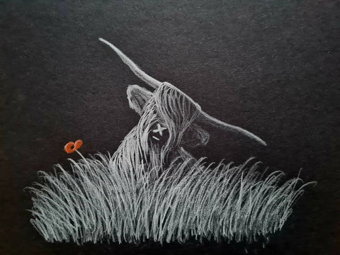 U621 Original Polychromo - 'Highland Coo #31'