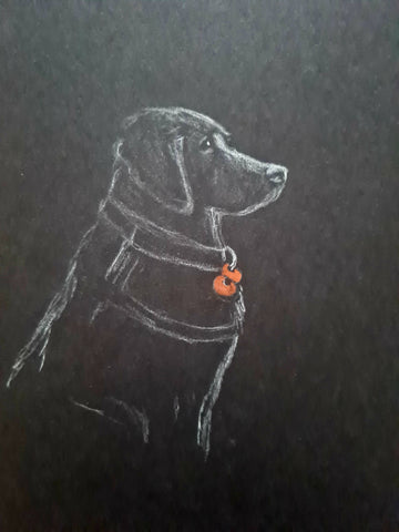 U620 Original Polychromo - 'Poppy dog #30