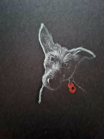 U329 Original Polychromo - 'Yorkie Poppy Dog'