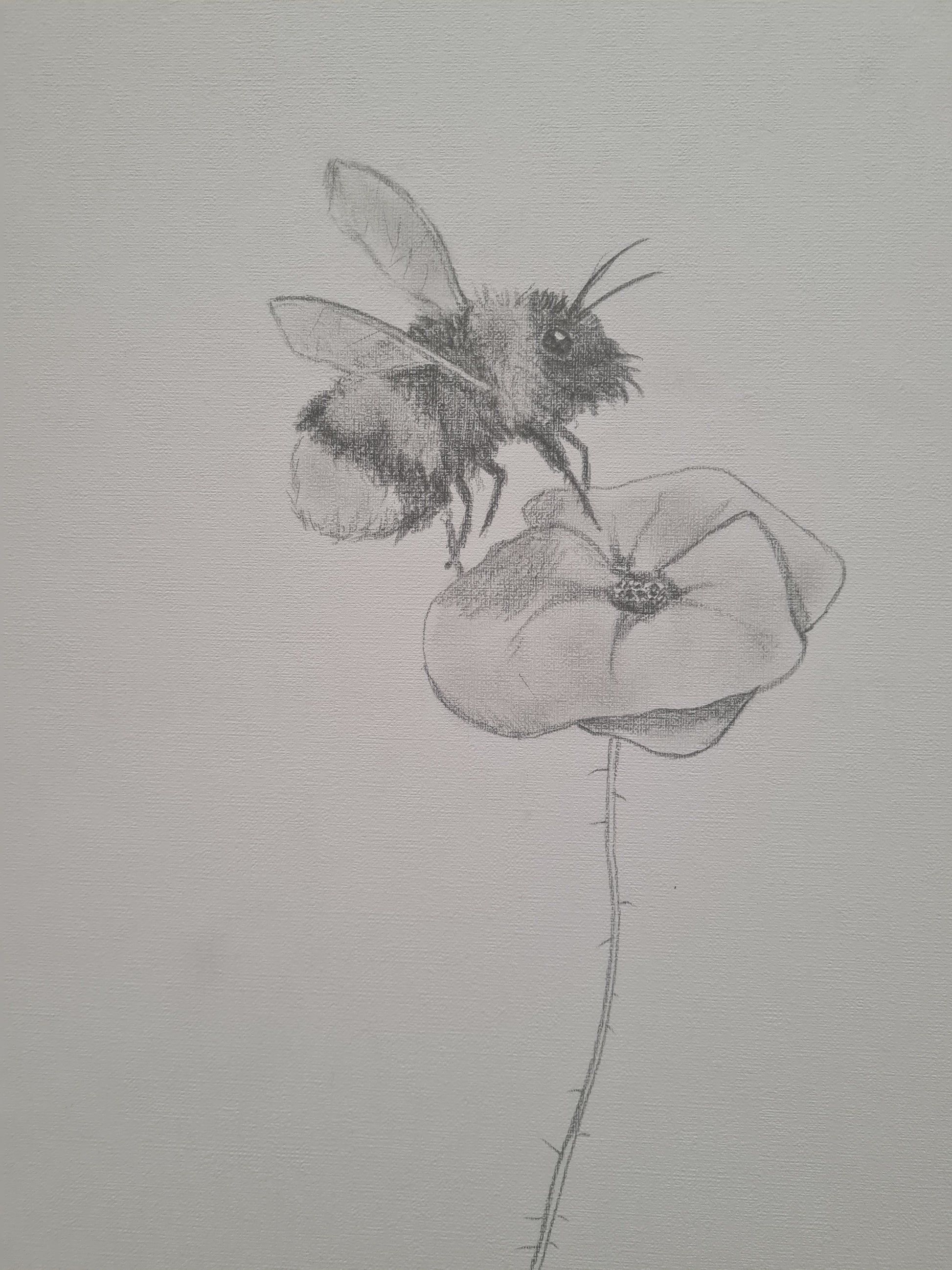 Remembrance art 