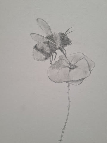 U643 Original Polychromo - 'Poppy bee #3'